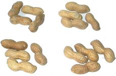 Erdnüsse-4x4.jpg
